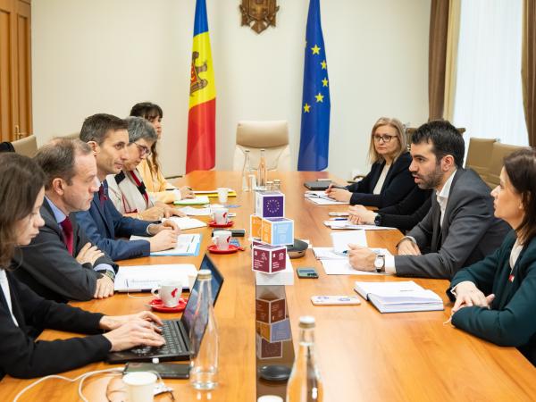 Consiliului Europei
